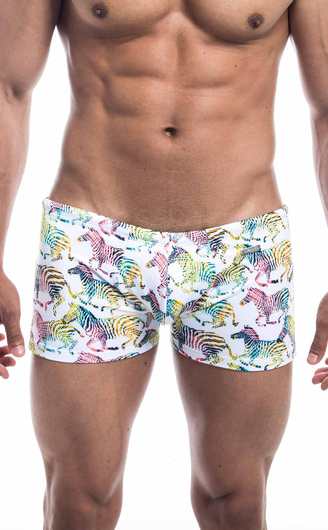 Swim Trunk - Zebra